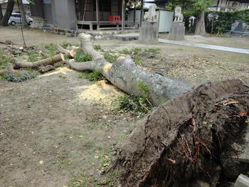 台風のあしあと。