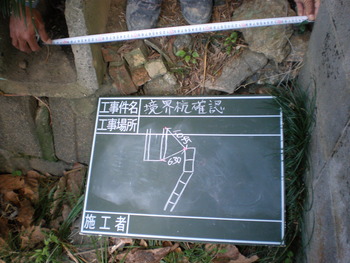 壁も庭も。