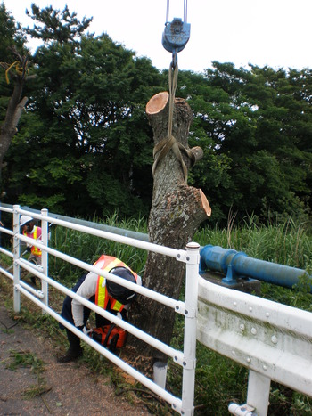 色んな効果があるんですけどね～。