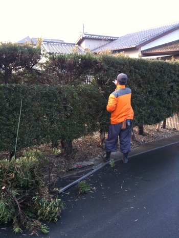 有限会社コスモグリーン庭好 樹木管理