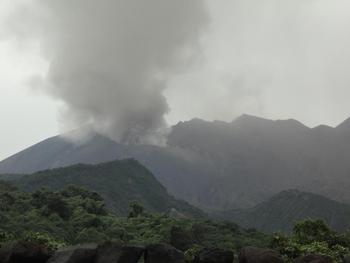 【うなぎいも】鹿児島研修へ行く。１