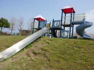 公園巡り