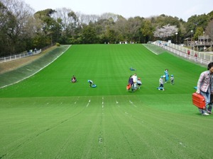 お花見　ｉｎ　都田公園＆秋葉ダム