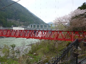 お花見　ｉｎ　都田公園＆秋葉ダム
