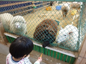 まかいの牧場
