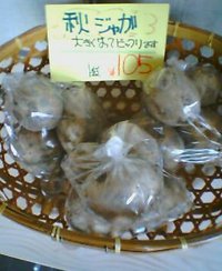 秋じゃが採れました。 2006/11/10 21:44:57
