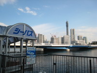 横浜シーバス