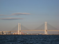 横浜シーバス