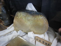 掛川展示会♪