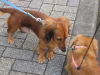 ラッキー＆ハッピー♪