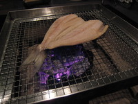 今夜も乾杯♪