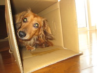 Ｎｅｗ　Ｈｏｕｓｅ♪