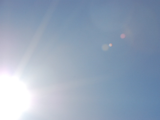 お天気イイ♪