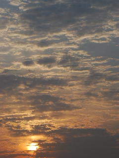 空♪