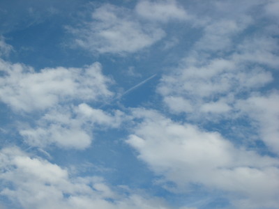 sky♪