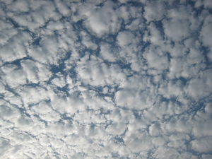 うろこ雲♪
