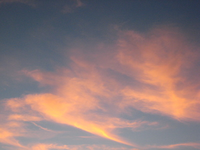 夏の夕焼けに…♪