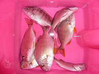 釣り
