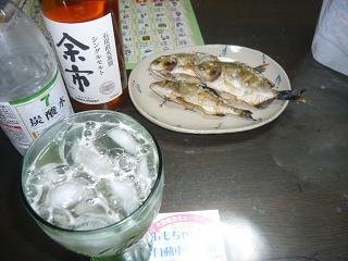 釣り