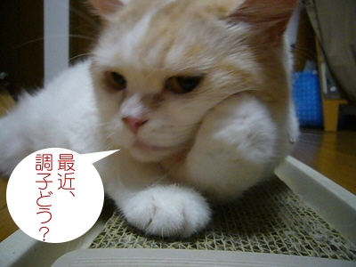 考える…