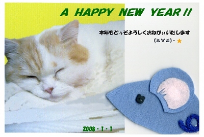 A HAPPY NEW YEAR !!!