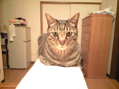 悟りをひらく！？