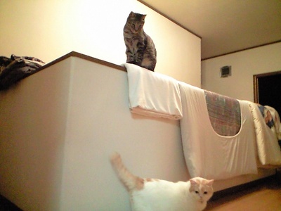 かくれんぼ！？