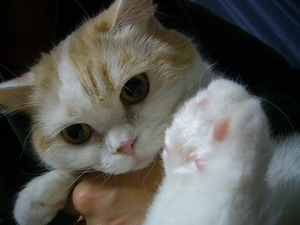 本日のニュル♪