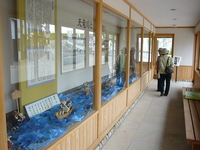 藤野の長藤