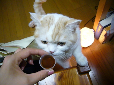 代わりに飲んであげる？