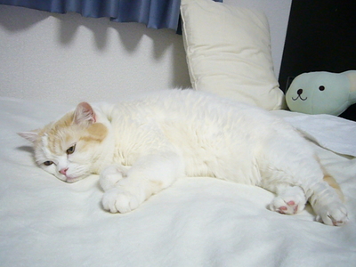 うらやましぃな…
