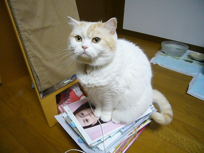ちょっとでも…