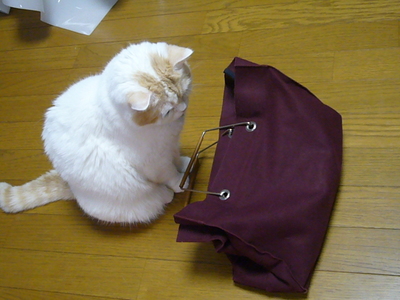 ごぁ～ん♪