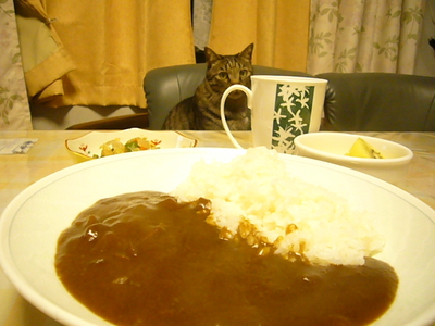 中辛が好き！？