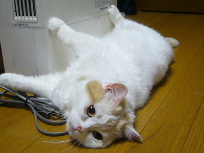 お気に入りの場所！？