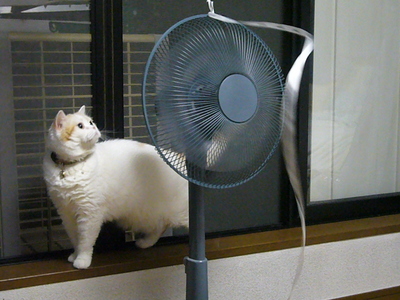 気になる！！