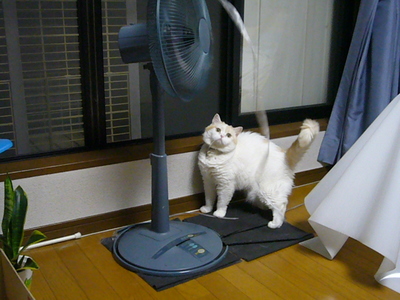 気になる！！