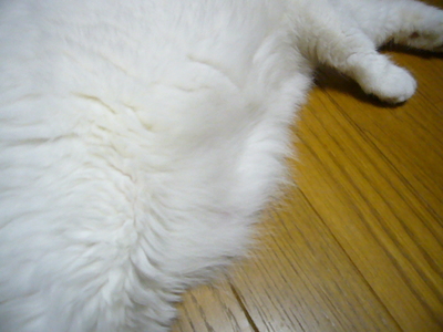 まさか！！