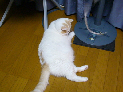 助かります！