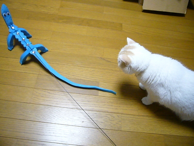 二日目の反応（ニュル）