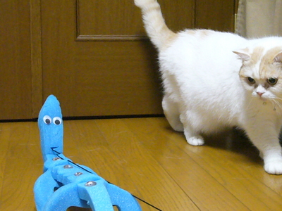 で、ニュルの反応は…