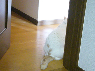 気をつけなきゃ！