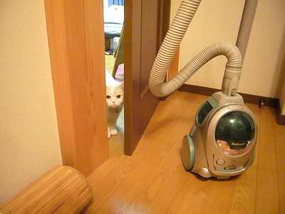 お次は