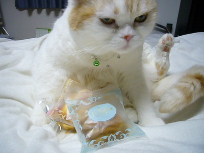 Ｒちゃんから