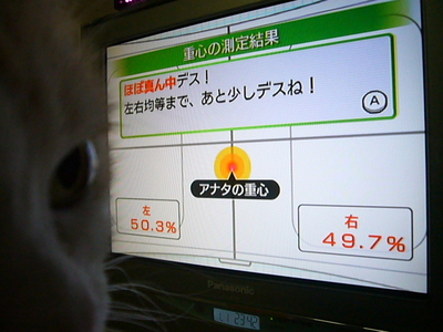 wii ヽ(*・ω・*)ノ