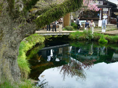忍野八海