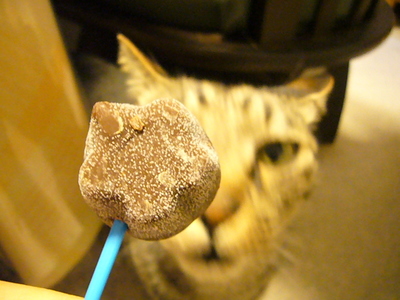 願いのピノ
