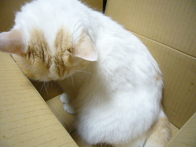 ご不満！？　…ですょね～