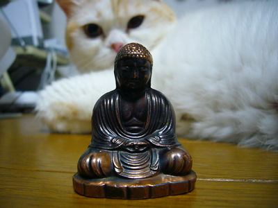 遠巻き(-ω-*)