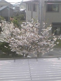 繋がってる？ 2010/04/16 12:34:59